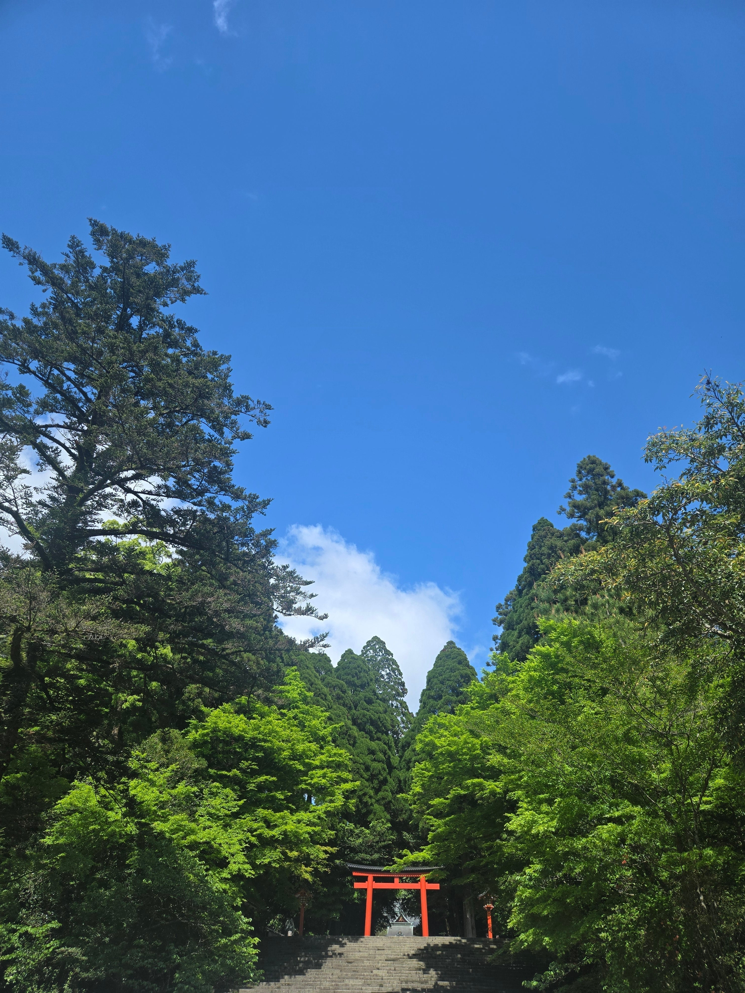 #7 Among old walls and green leaves