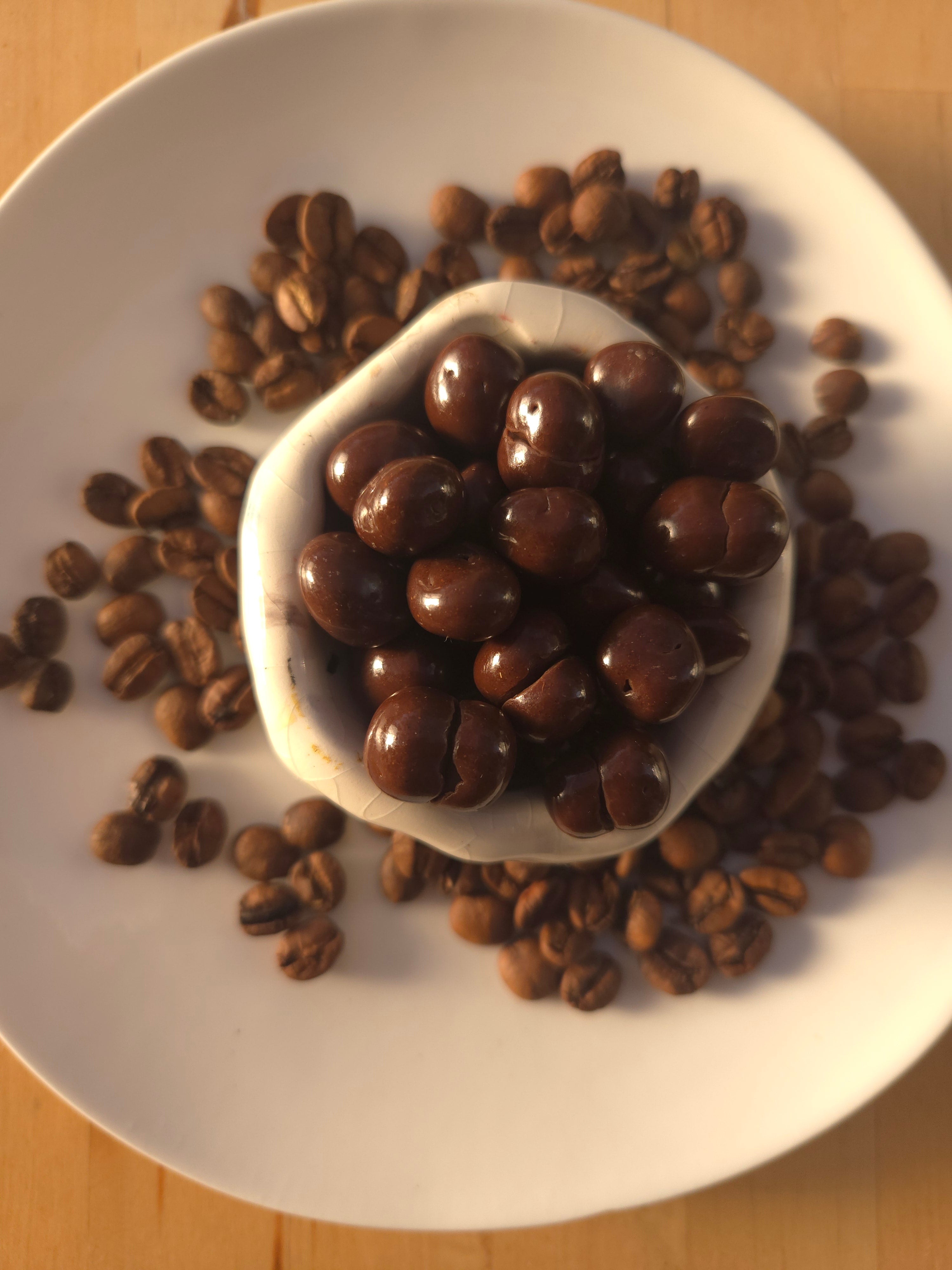 Mocha Pebbles - Chocolate Coated Coffee Beans | Ark Coffee x Patagonia Chocolates