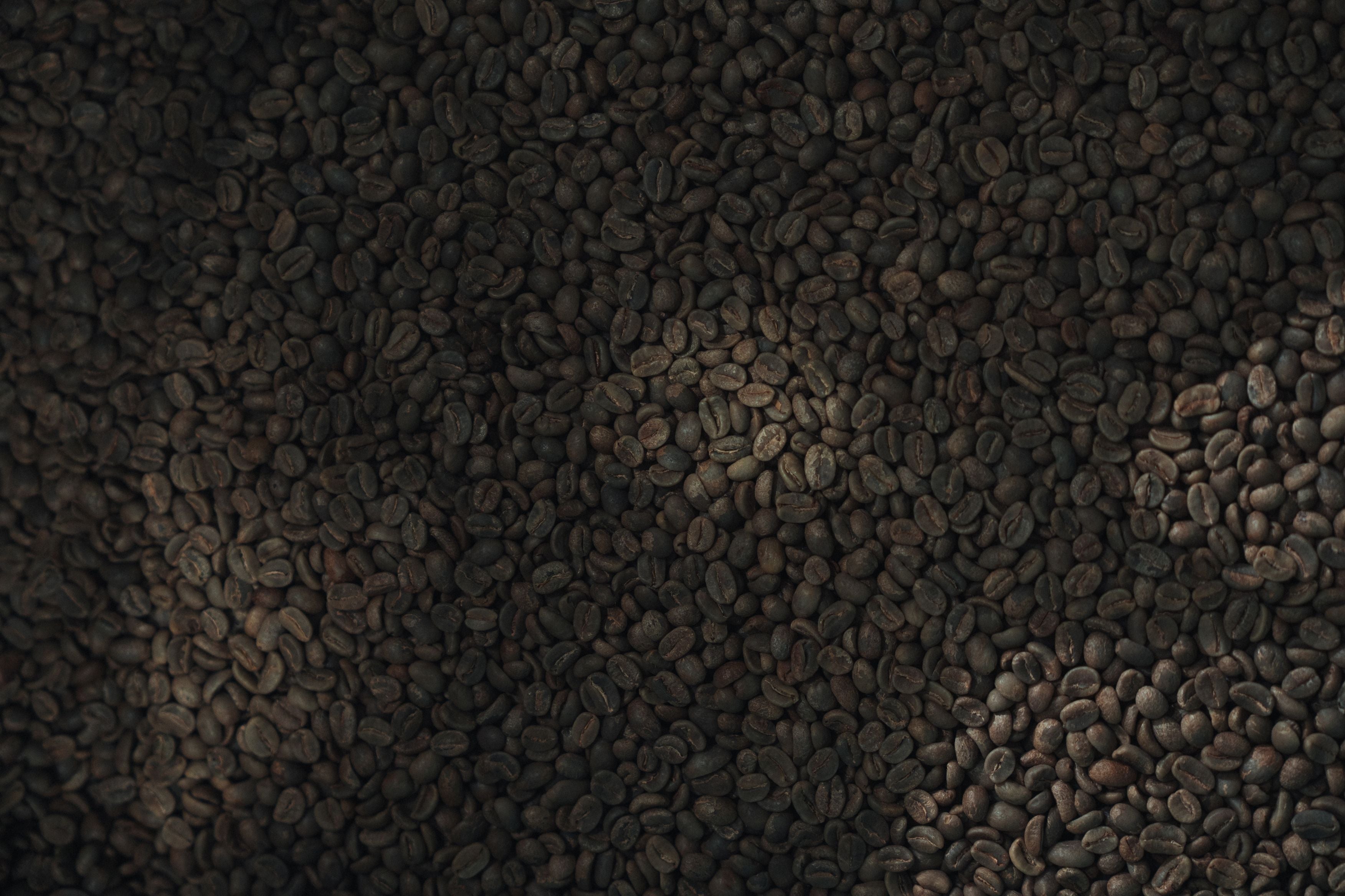#2 The Changing Landscape of Coffee