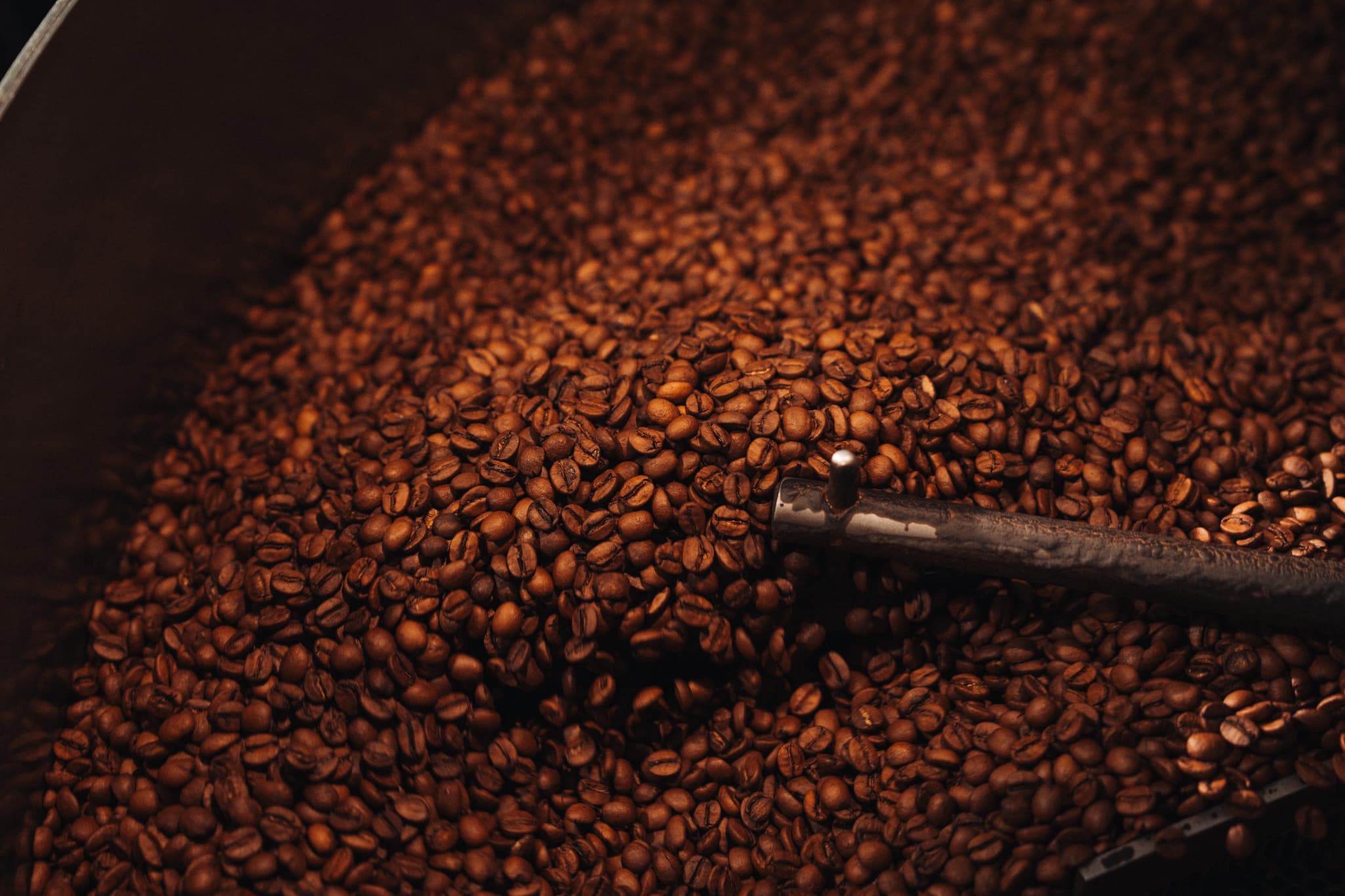 coffee beans