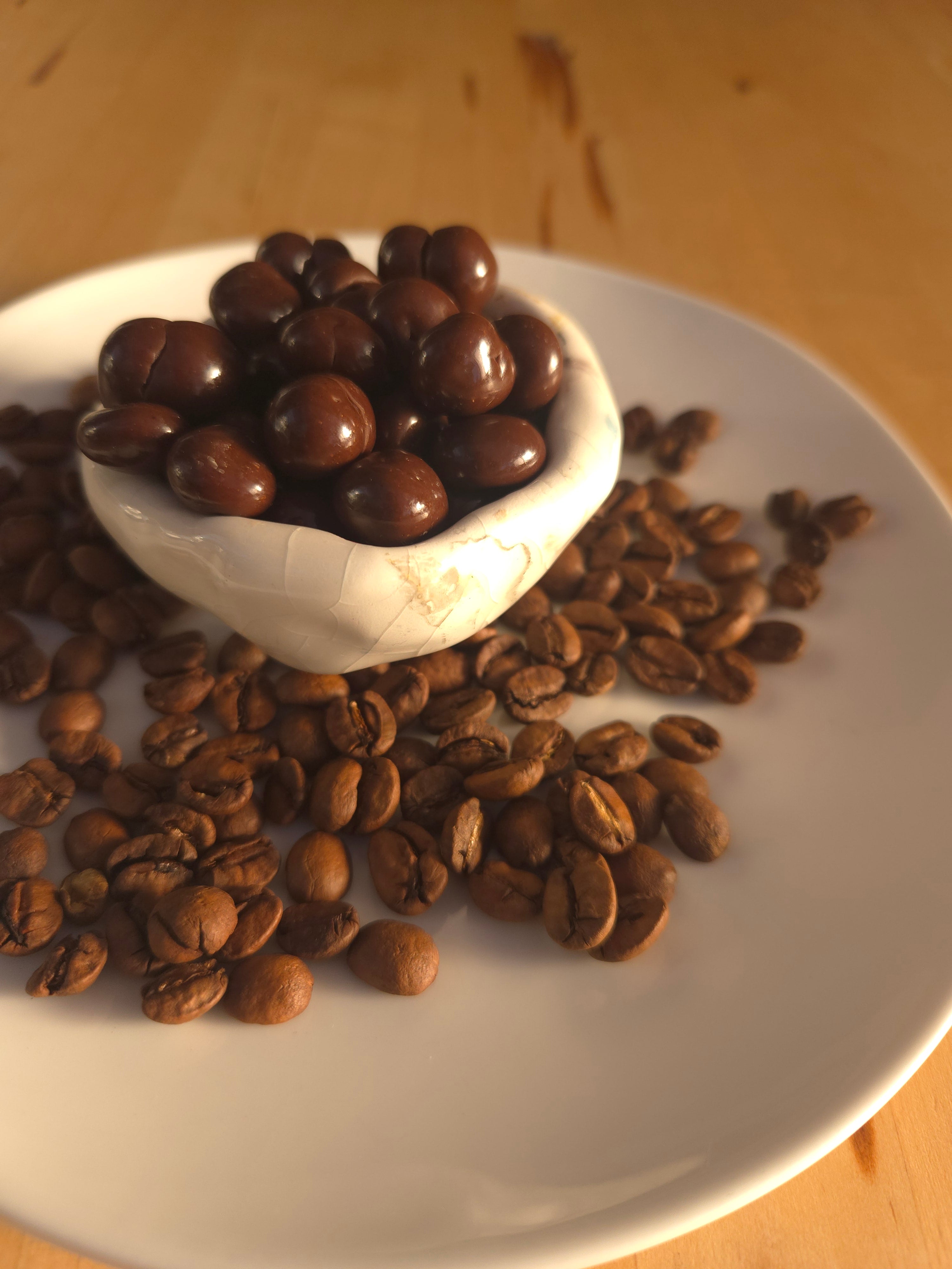 Mocha Pebbles - Chocolate Coated Coffee Beans | Ark Coffee x Patagonia Chocolates